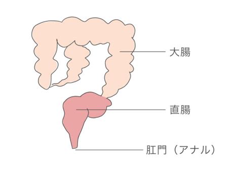 アナル 浣腸|切れない！事故らない！正しい「シャワ浣」について考えてみた .